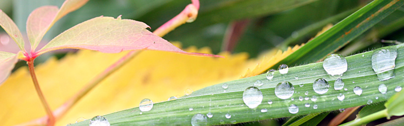 herbst_1