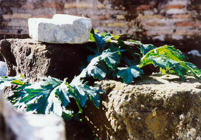 Rom, Forum Romanum
